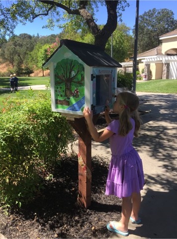 Little Free Library | Kottinger Ranch Neighbors | 360 Web Designs | Dublin, CA